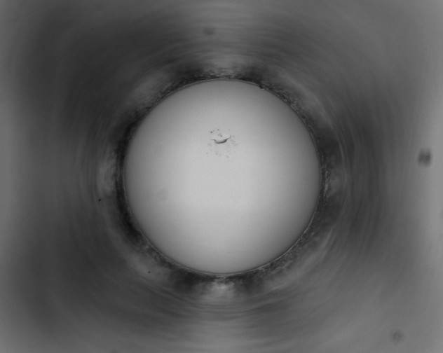 X0000103930647200809261704