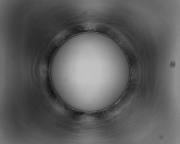 X0000103930648200809261704