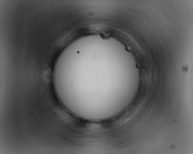 X0000103930649200809261704
