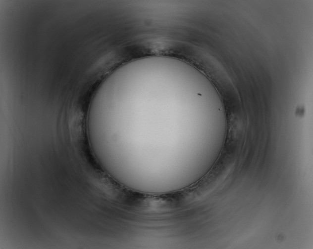 X0000103930650200809261704