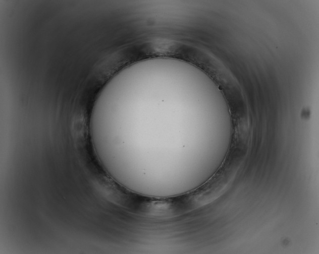 X0000103930651200809261704
