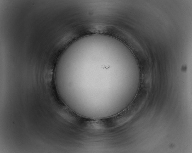 X0000103930652200809261704