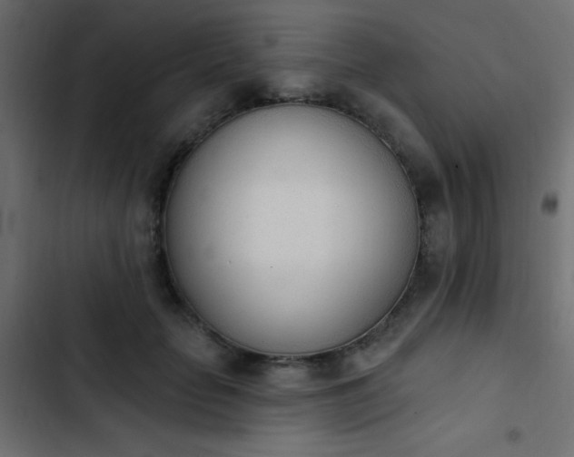 X0000103930653200809261704