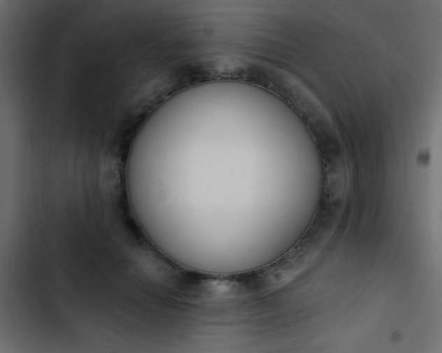 X0000103930654200809261704