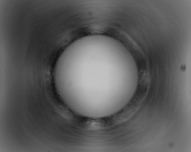 X0000103930655200809261704