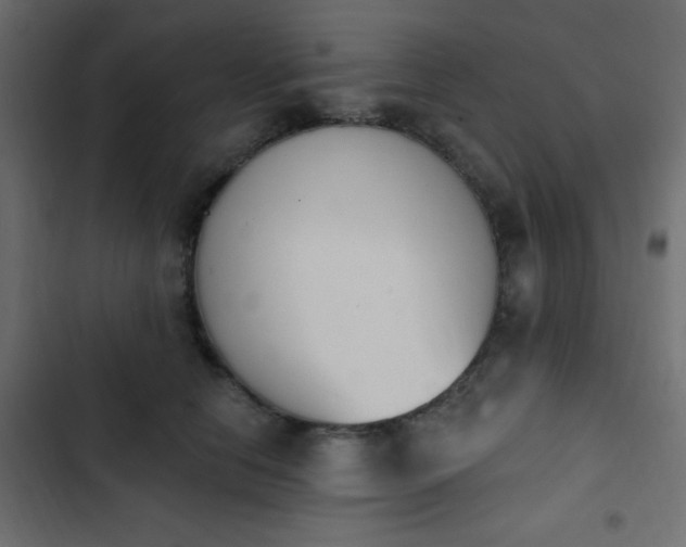 X0000103930658200809261704