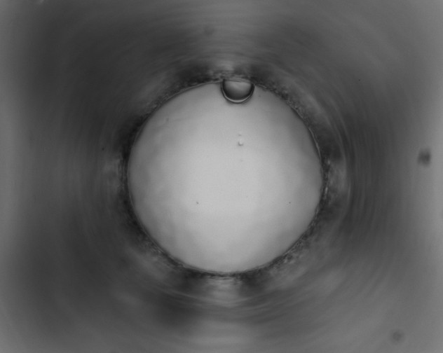 X0000103930659200809261704