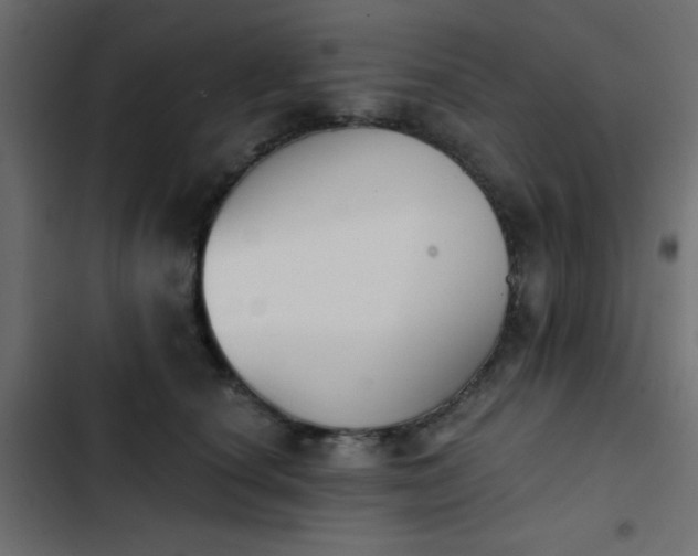 X0000103930660200809261704