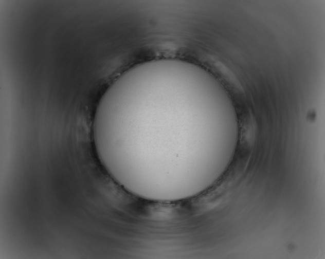 X0000103930661200809261704