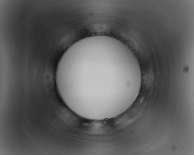 X0000103930662200809261704
