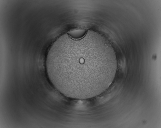 X0000103930663200809261704