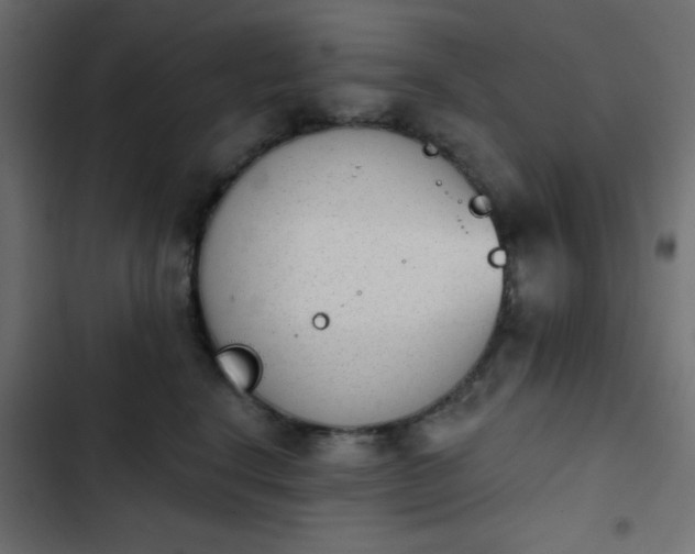 X0000103930664200809261705