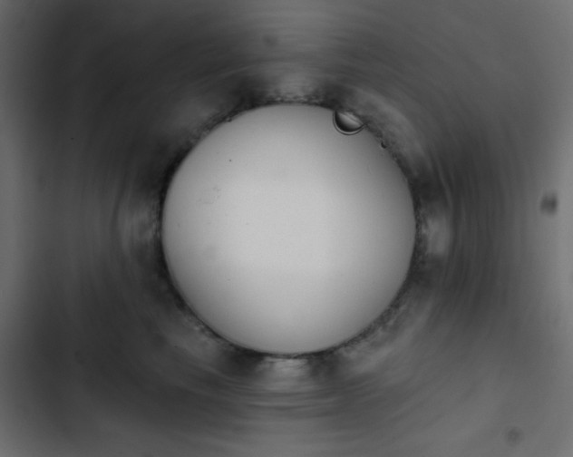 X0000103930665200809261705