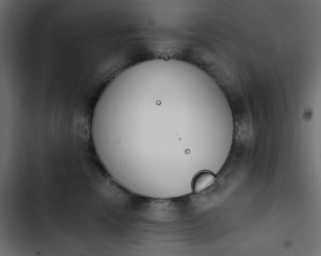 X0000103930666200809261705