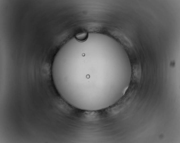 X0000103930667200809261705