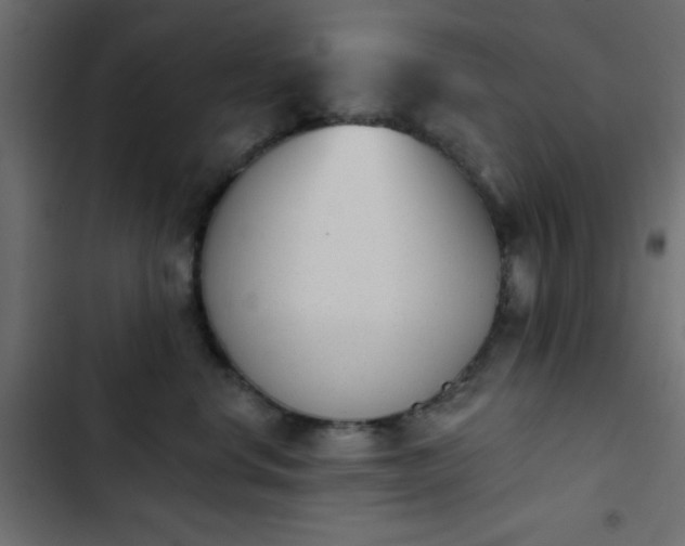 X0000103930668200809261705