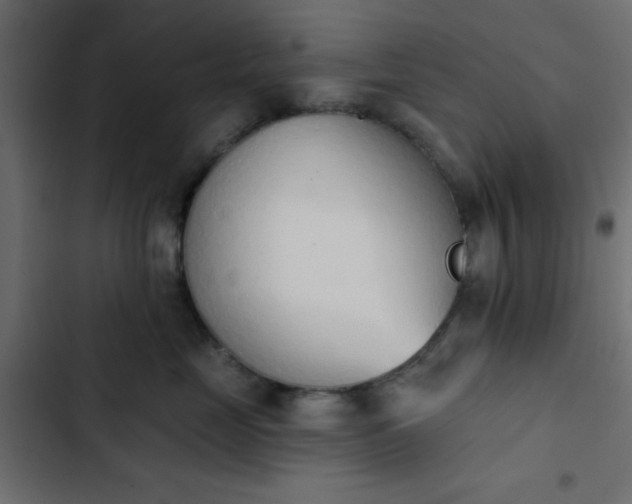X0000103930669200809261705