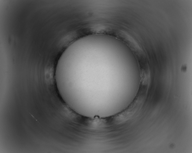 X0000103930670200809261705