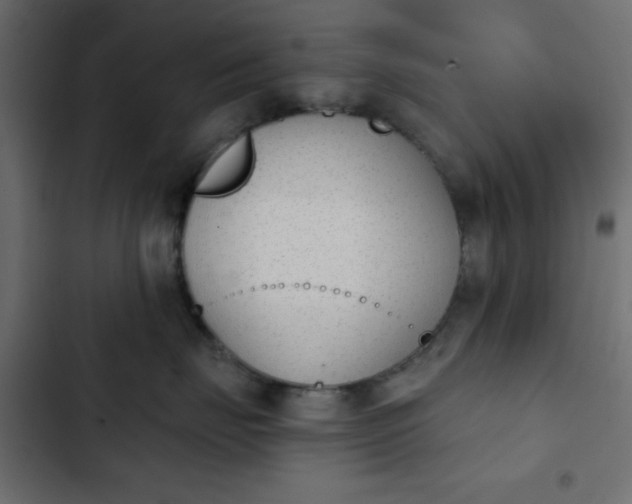 X0000103930671200809261705