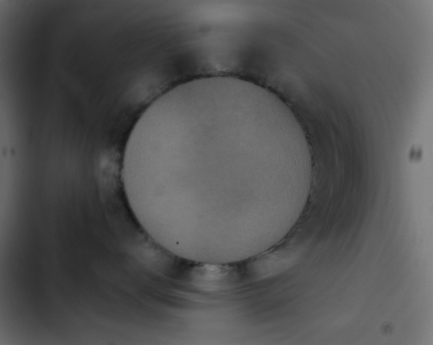 X0000103930672200809261705