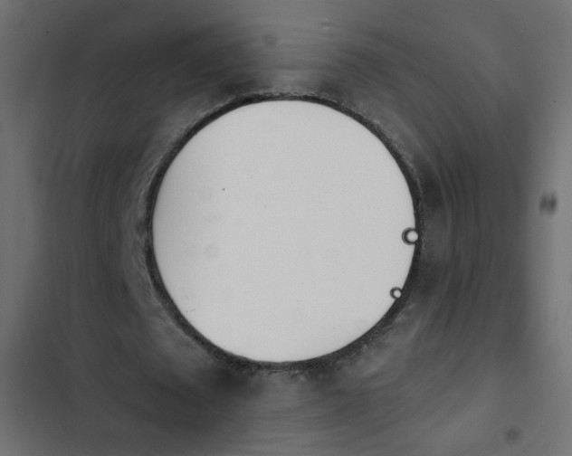 X0000103930673200809261704