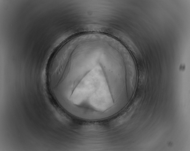 X0000103930674200809261704
