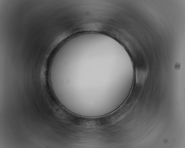 X0000103930675200809261704