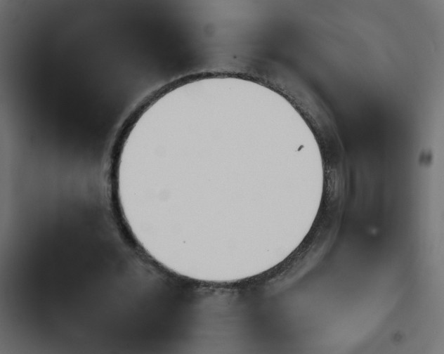 X0000103930676200809261704