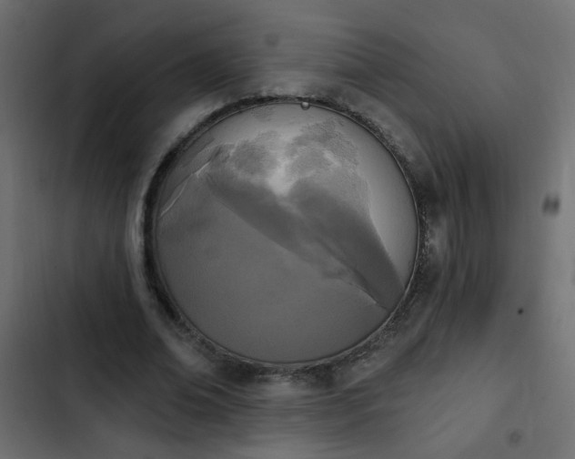 X0000103930678200809261704