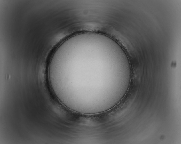 X0000103930679200809261704