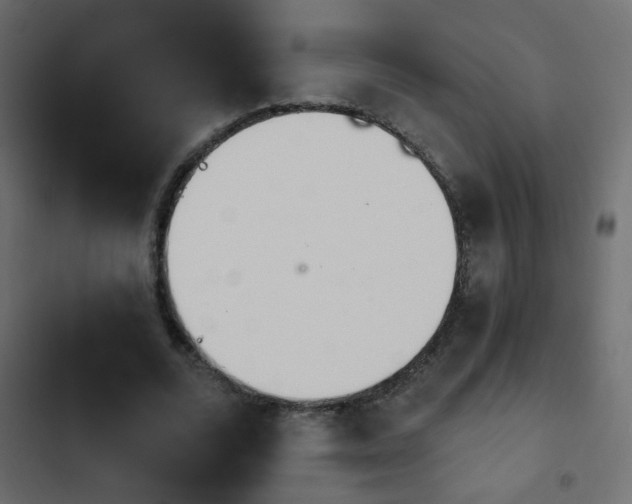 X0000103930680200809261704