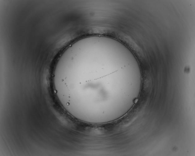 X0000103930683200809261704