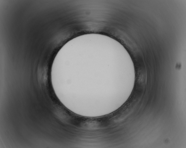 X0000103930685200809261704