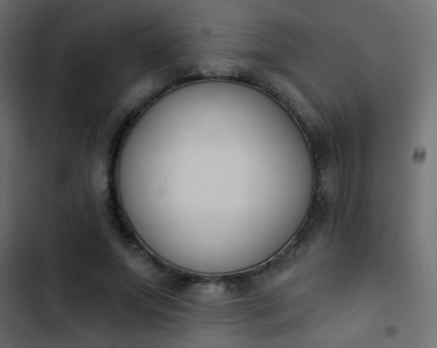 X0000103930687200809261704