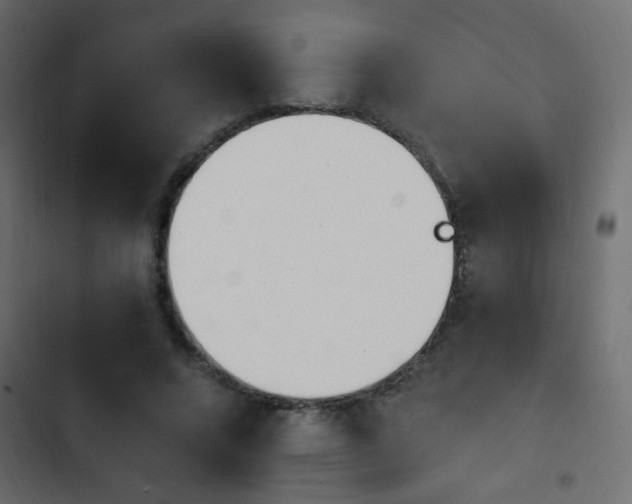 X0000103930688200809261704