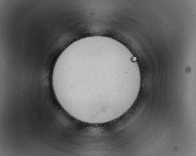 X0000103930689200809261704
