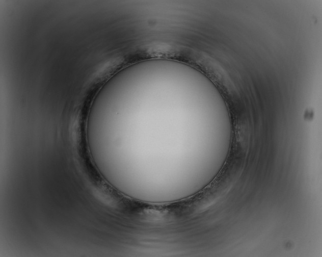 X0000103930690200809261704
