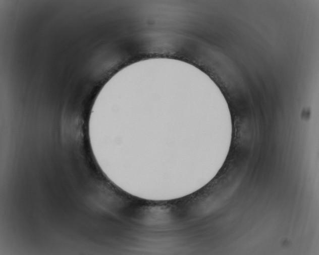 X0000103930692200809261704