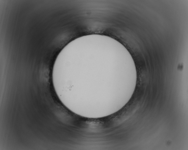 X0000103930693200809261704