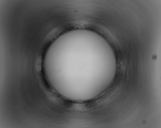 X0000103930694200809261704