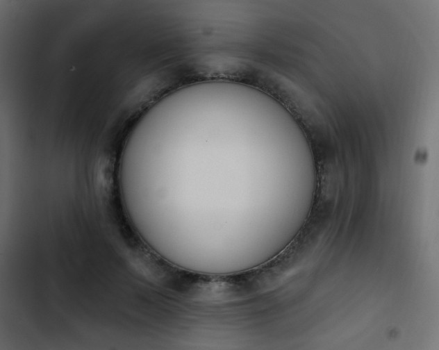 X0000103930695200809261704