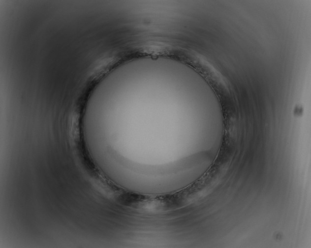X0000103930696200809261704