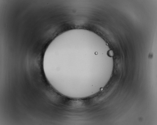 X0000103930698200809261704