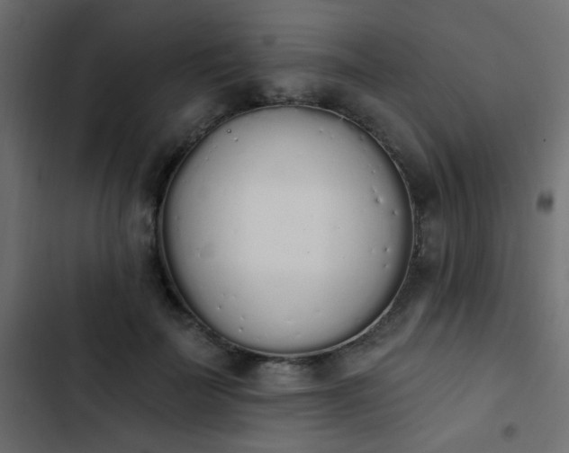 X0000103930699200809261704