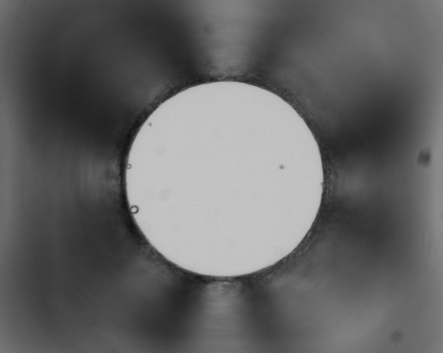 X0000103930700200809261704