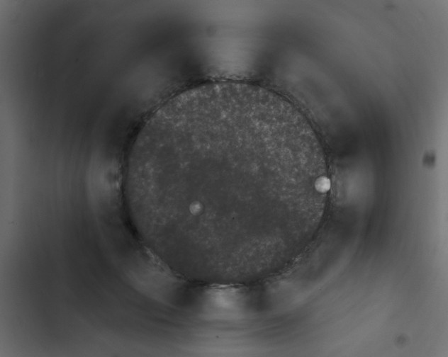 X0000103930701200809261704