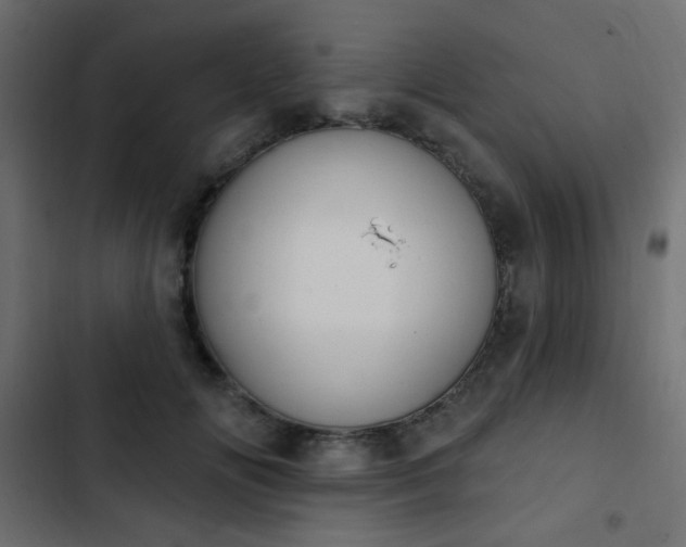 X0000103930702200809261704