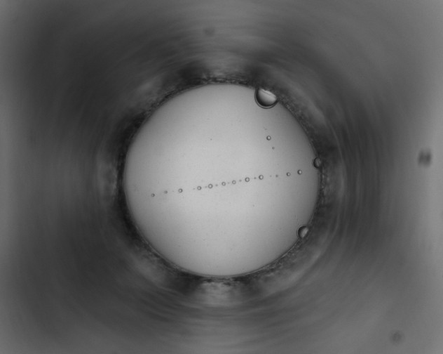 X0000103930703200809261704