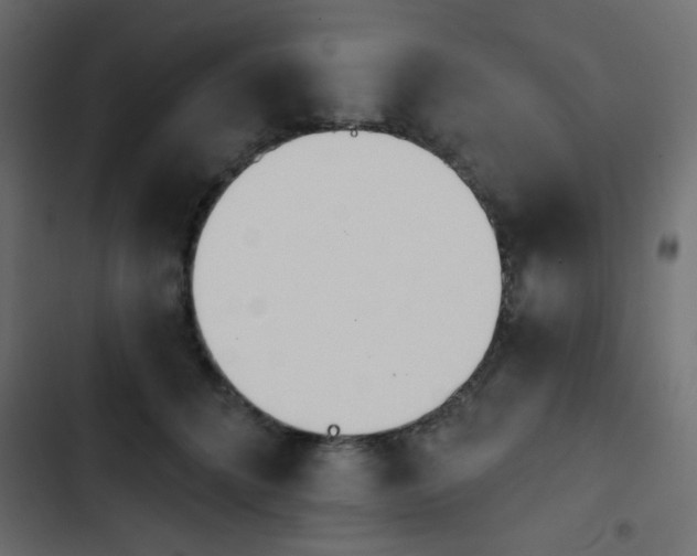X0000103930704200809261704