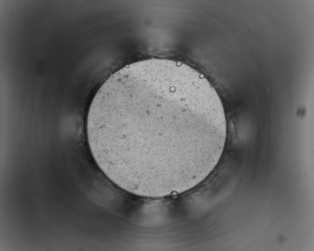 X0000103930705200809261704